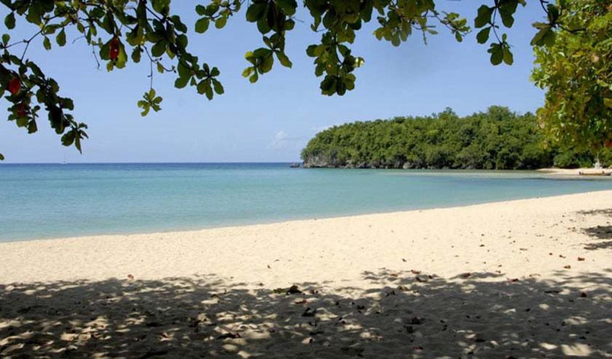 Shaw Park Beach Hotel & Spa Ocho Rios Exterior foto